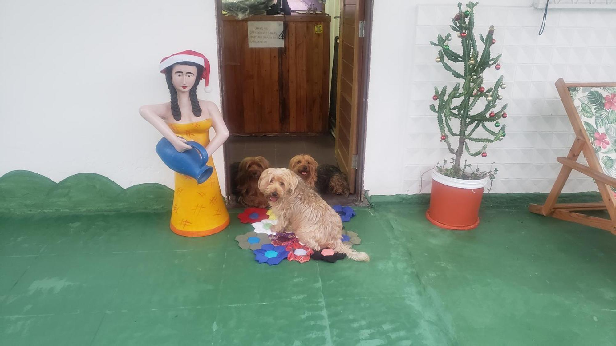 Hostel E Pousada Sol E Mar João Pessoa Εξωτερικό φωτογραφία